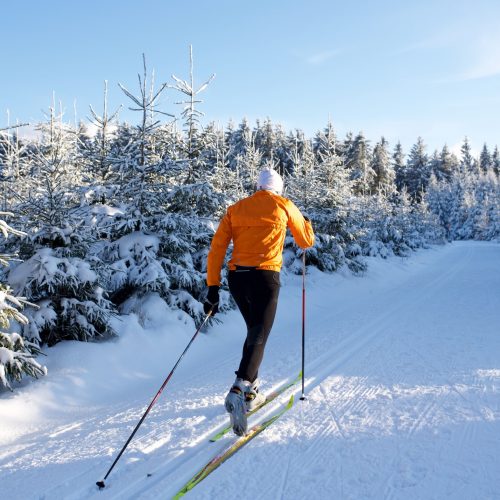 Ski de fond