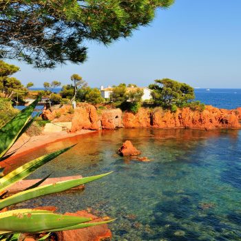 Activités Port Fréjus